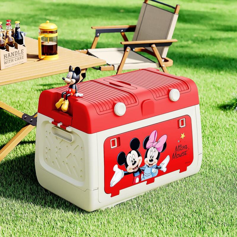 Boîte de rangement pour campin - Outdoor Camping Folding Storage Box avis et prix