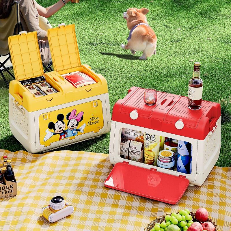 Boîte de rangement pour campin - Outdoor Camping Folding Storage Box avis et prix